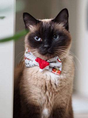 Katzenschleife - Katzenaccessoires - Weihnachten - Purresents please!