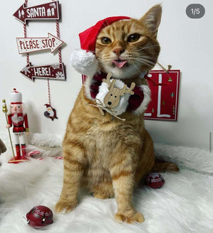 Hundeschleife - Katzenschleife - Rentier - Fleece Navidad