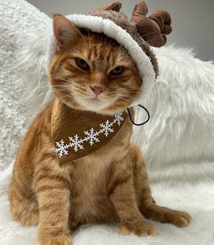Hundehalstuch - Katzenhalstuch - Winter - Ready, set, glow!