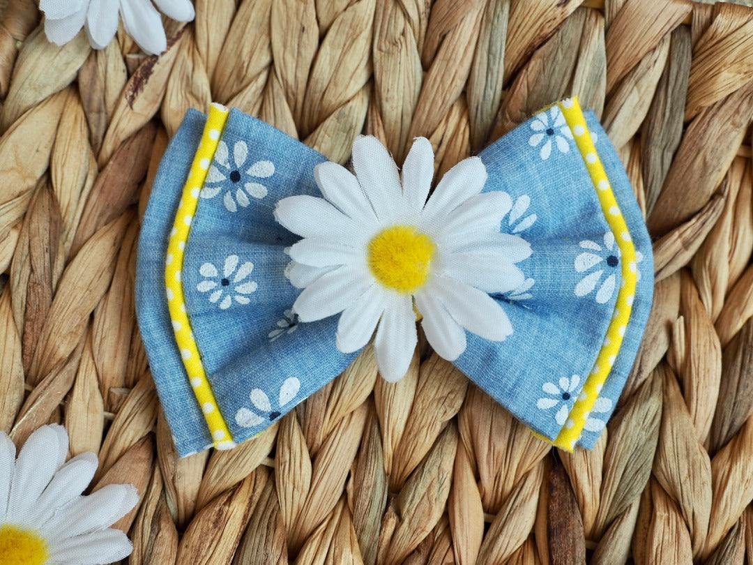 Blaue Hundeschleife und Katzenaccessoires mit Gänseblümchen