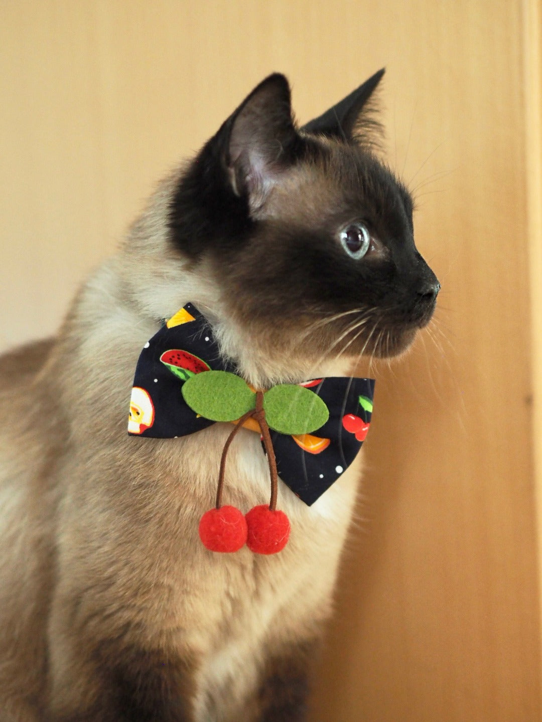 Siamkatze trägt dunkelblaue Schleife mit Obst Muster und Kirschen