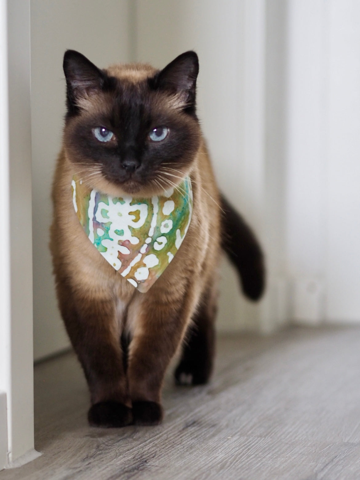 Siamkatze trägt Katzenhalstuch mit Batikmuster in weiß, grün und blau