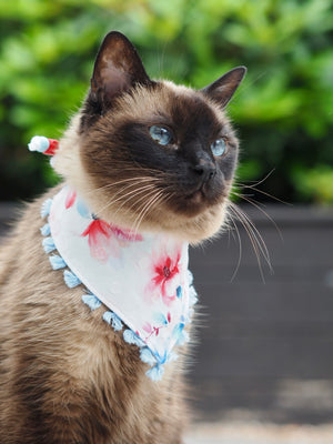 Siamkatze trägt Katzenhalstuch zum Binden mit Blumenmuster und Fransenborte