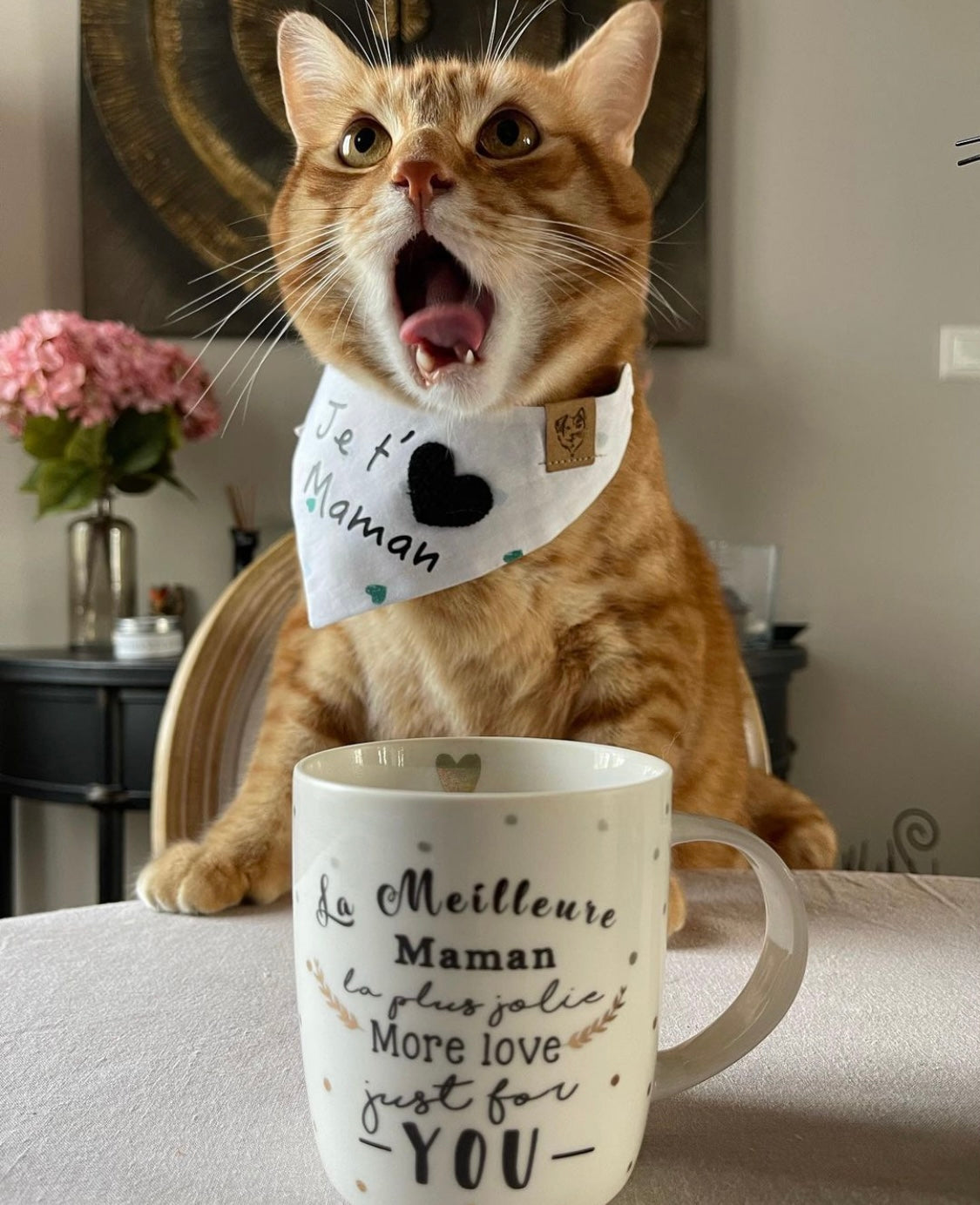 Orange Katze trägt weißes Katzenhalstuch mit Aufdruck je taime Maman