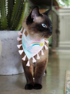 Katzenhalstuch - Katzenaccessoires - Regenbogen - Kittyblush