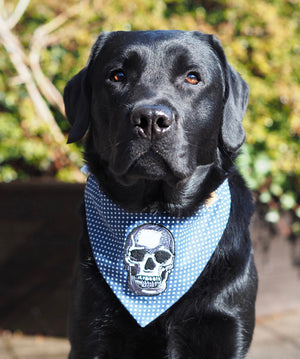 Hundehalstuch - Katzenhalstuch - Totenkopf - Dead men tell no tales