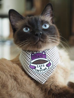 Katzenhalstuch - Katzenaccessoires - Kaffee - Coffee right Meow!