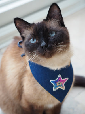 Hundehalstuch - Katzenhalstuch - Pailletten -Stern - VIPet