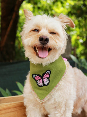 Hundehalstuch - Katzenhalstuch - Schmetterlinge - Blossoms & Butterflies