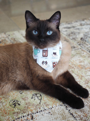 Katzenhalstuch - Katzenaccessoires - Kaffee - Coffee right Meow!