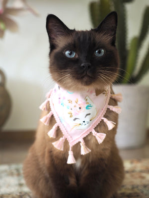 Katzenhalstuch - Katzenaccessoires - Regenbogen - Kittyblush