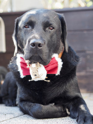 Hundeschleife - Katzenschleife - Rentier - Fleece Navidad