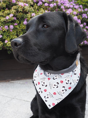 Hundehalstuch - Hundebandana - Pfötchen - I woof you!