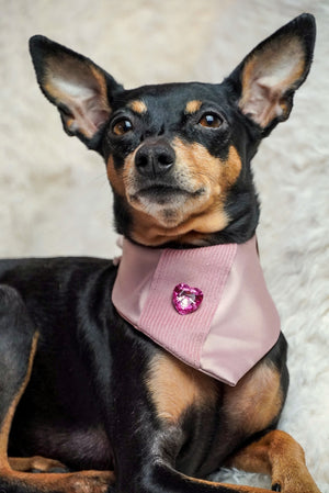 Hundehalstuch - Katzenhalstuch - Valentinstag - Sweet as Satin