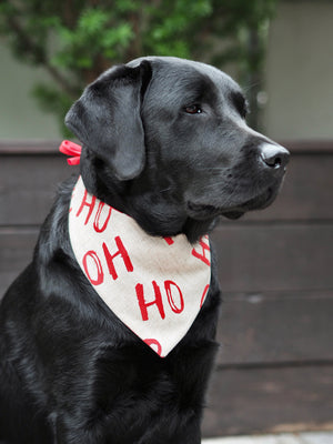 Hundehalstuch - Katzenhalstuch - Weihnachten - Ho-ly moly