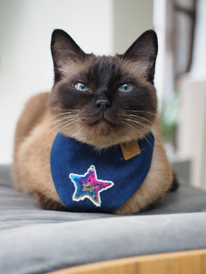 Hundehalstuch - Katzenhalstuch - Pailletten -Stern - VIPet
