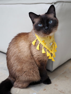 Katzenhalstuch - Katzenaccessoires - Born to be Banana